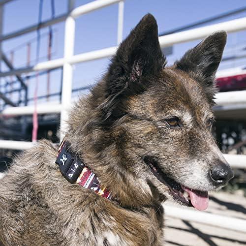 Нашийник за кучета Hooey Nomad, Здрав Нашийник от полиэстеровой мрежи с Графични Щампи, Моруна Монтерей, Среден