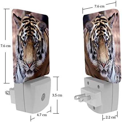 RODAILYCAY Светлочувствителен лека нощ Азиатски Тигър, 2 пакета Нощни осветителни Тела, Вградени в стената, Топло бяла