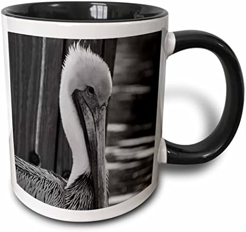 3 Оцветен чаша Pelican By Wood Piling, 11 грама, черна