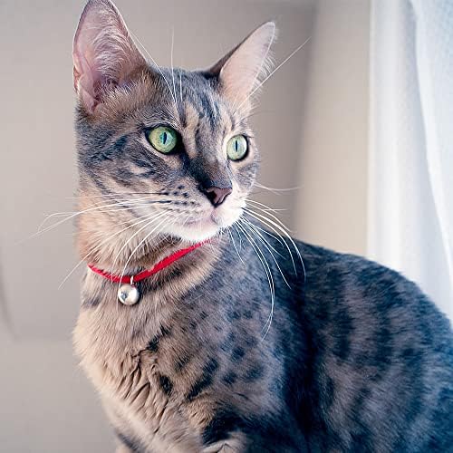 Нашийник за котки necono -Karen - Сребърна Камбанка в 3 цвята - Ультралегкая Плат, Ръчно изработени