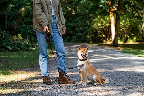 Кожена каишка за кучета - 6-крак каишка за дресура и начин на отглеждане на кучета – Кожена Каишка от естествена кожа