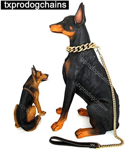 Нашийници с верига за по-големи Кучета, Яка със златна Верига 30 мм с Изображение на Череп, Яка от Неръждаема Стомана