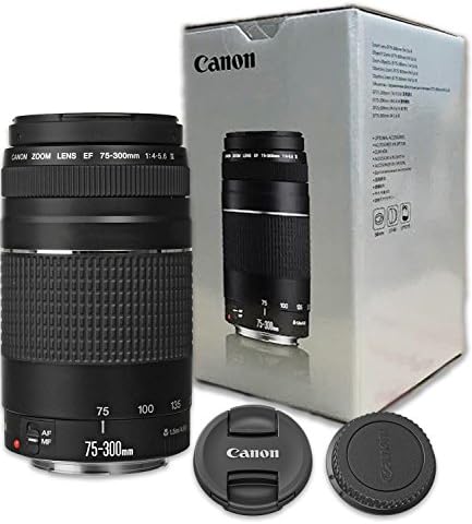 Супер телефото обектив с увеличение на Canon EF 75-300 мм f/4-5.6 III