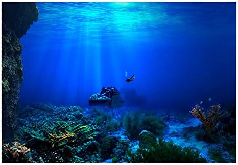 Huhushop Фон За Аквариум,HD Тапети за Фотообоев с Подводни Коралови Рифове, Стенни Картини с Морски Аквариумными Рибки,