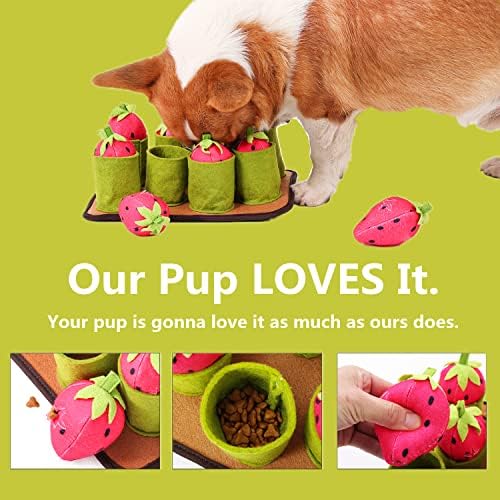 Интерактивни Играчки за Кучета MEIJIEM-Пъзели за кучета 3 в 1 от 8 Скрипучими Клубничками