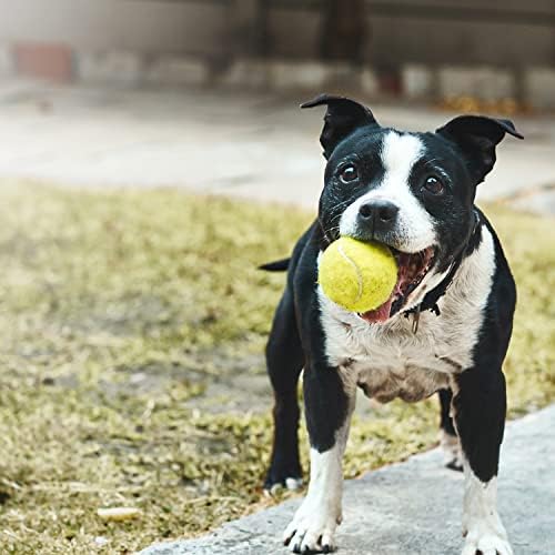 Тенис топки за кучета MOTZABO - 12 X 2,5 Скрипучих Интерактивни играчки за Кучета Топки за Малки, Средни и Големи Кучета - Гумени Играчки за кучета с отскок за тренировки, и?