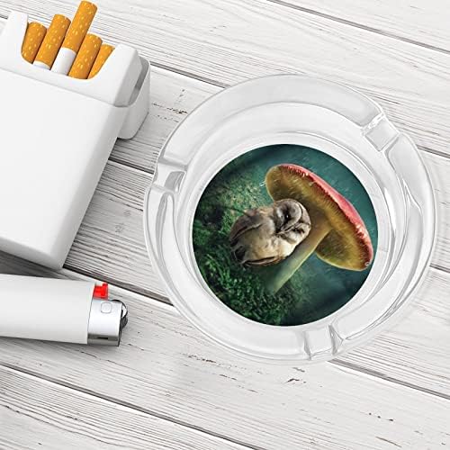 Малката Сова и Гъби Стъклен Пепелник с Диаметър 3,3Прозрачна Цигарената чиния за Домашен Офис Десктоп употреба На закрито или На открито Украса на масата