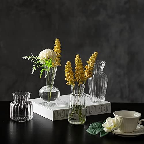 Мини-Стъклени вази за централните бижута - Hewory Малка Прозрачна Ваза за цветята на едро, Набор от Чудесни Цветни Вази