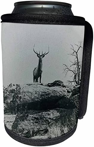3dRose Магически Фенер Slide The Stag Elk Montana Реколта опаковки за бутилки - охладители (cc_359677_1)