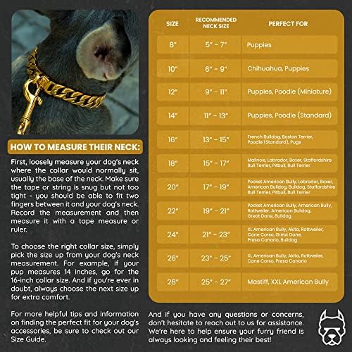 Гепи Chainz 16 Нашийник за кучета Хермес Gold Cuban Link с Дизайнерски надежден обтегач - Верига за яката от 18-Каратово