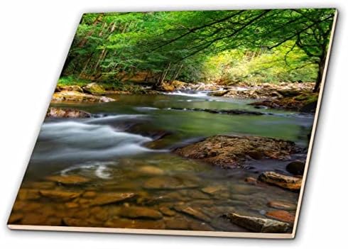 3. Снимка на Роуза Майк Свиндла - Пейзаж - Планински поток - Теракот (ct_351726_1)