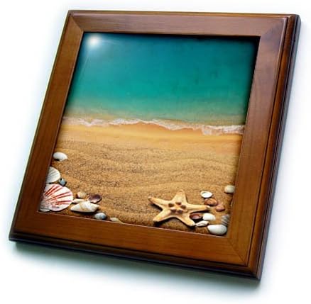 Триизмерно изображение на плажа Флоридского залива с плочки в рамка от морски звезди, и мивки, 8 x 8