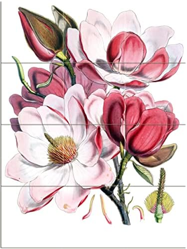 Плочки Стенопис Magnolia Flowers от Джон Fergusson Кухня, Баня с Душ-Панел заден Панел 3x4 4,25 Керамични, Мат