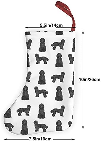 Черно куче порода Лабрадудль, Куче порода Каракуль, Бели Коледни Чорапи - 10 ч, Коледни Чорапи, Чорапи за окачване на