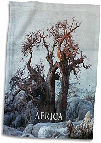 3dRose Florene Свята Екзотични места - Изображение на Дървото В Ботсвана, Африка - Кърпи (twl-109509-1)