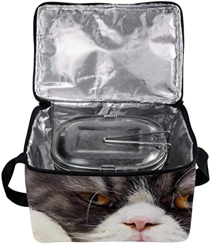 Дамски Чанта за обяд GUEROTKR, Кутия за Обяд за мъже, Дамски Кутия за Обяд, с изображение на животно котка