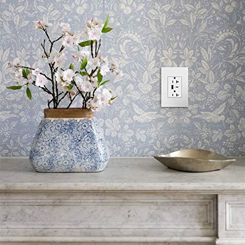 Legrand adorne Dual-USB, 20A, ултра-бързо зареждане, 6 Ампера, Тип A / C, USB, Hybrid гнездо (С фаянс плоча, бяла)